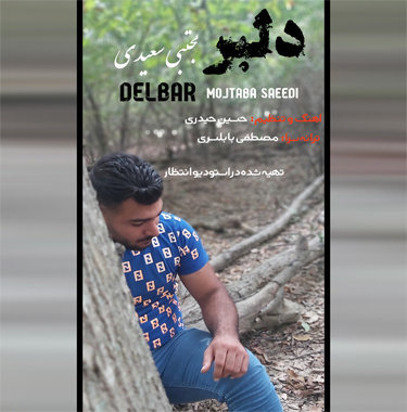 مجتبی سعیدی دلبر